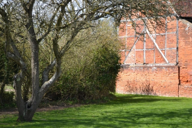 Newland Hall bushes and tree outside of barn