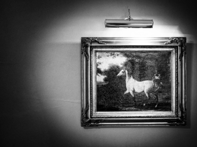 Black and White picture of horse outside of Newland Hall grounds