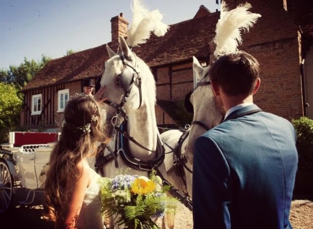 Bride and groom with horses