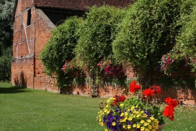 over grown bush on wall with flowers in front